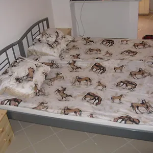 Karpati Budapeszt